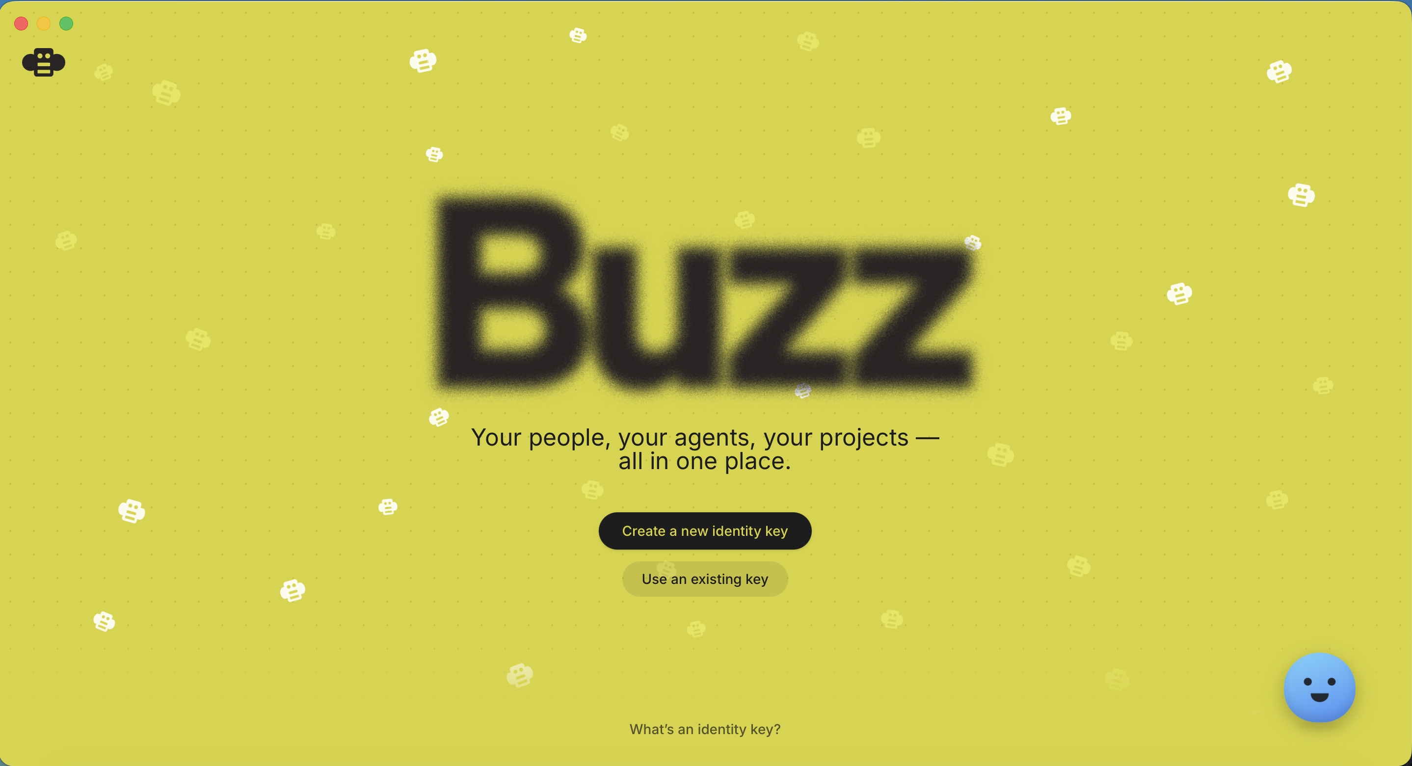 The Buzz welcome screen — create a new identity key or use an existing one.